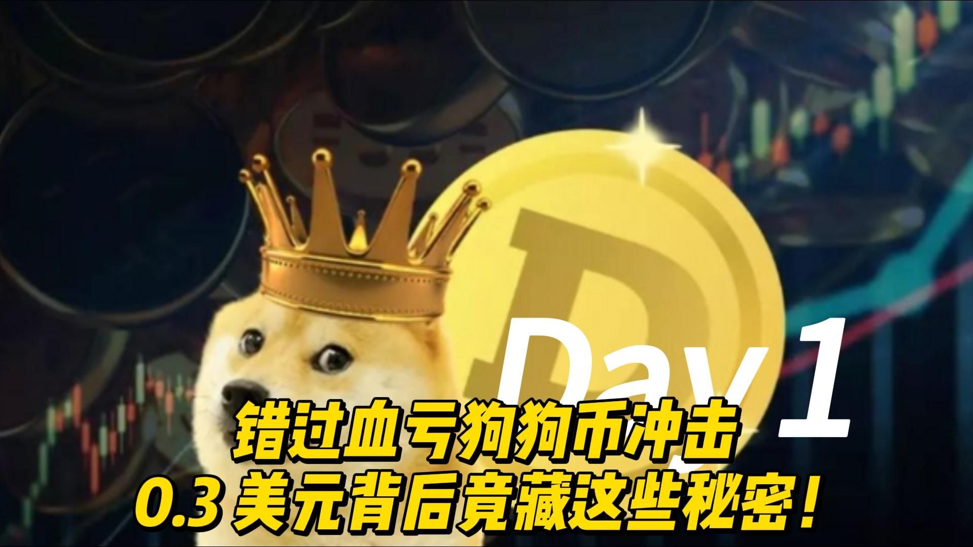 开云体育-狗狗币遭遇大幅下滑超30.55%，投资者恐慌性抛售，震惊市场